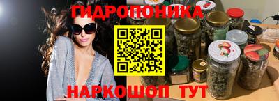 герыч Кингисепп
